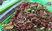 ไอเดียทำเงิน “บ้านแมลงทอด” โปรตีนทางเลือกตักละ 20 บาท