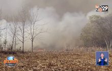 ไฟป่า จ.เลย ลุกลามไหม้ไร่อ้อย