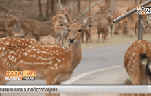 สั่งปิดสวนสัตว์เขาสวนกวาง 5 วัน