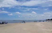 ปรากฏการณ์ “น้ำเบียด” ทำปลาตายเกลื่อนหาดเจ้าสำราญ