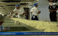 ทำลายสถิติพิซซ่ายาวที่สุดในโลก