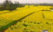 ฤดูใบไม้ผลิมาเยือน