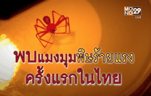 The Day News Update 20-01-59