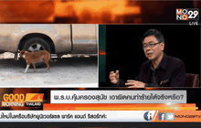 พ.ร.บ.คุ้มครองสุนัข เอาผิดคนทำร้ายได้จริงหรือ?