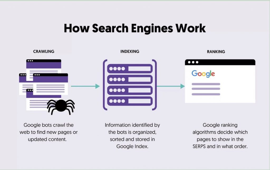 search engine