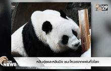 หลินฮุ่ยและหลินปิง ชนะโหวตจากแฟนทั่วโลก