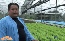 หนุ่มเชียงใหม่พลิกที่นาปลูกผักไฮโดรโพนิก สร้างรายได้งาม