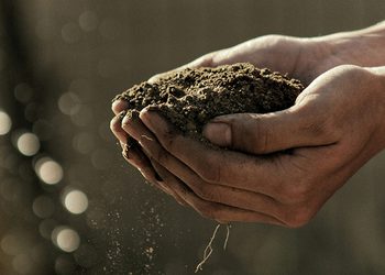 วันที่ 5 ธันวาคม วันดินโลก เชิดชูพระอัจฉริยภาพด้านการอนุรักษ์ และพัฒนาทรัพยากรดินของรัชกาลที่ 9