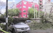 เม็กซิโกเผชิญพายุหิมะตกหนัก