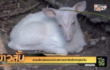 สวนสัตว์สงขลาเปิดบริการปกติหลังเหตุยิงกัน