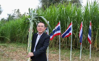 “หมอวรงค์” ลุยทุ่งเนเปียร์ แถลงนโยบาย ผลักดันเกษตรเพื่อพลังงาน