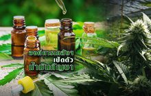 องค์การเภสัชฯ เปิดตัวน้ำมันกัญชา 07-08-62