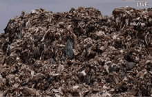 ผู้ตรวจการแผ่นดินตรวจสอบปัญหาบ่อขยะ