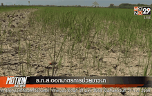 ธ.ก.ส.ออกมาตรการช่วยชาวนา