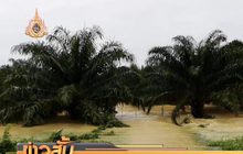 ฝนตกหนักดินโคลนถล่ม จ.กระบี่