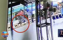 ผู้ปกครองไม่ติดใจ-โรงเรียนพร้อมช่วยเหลือค่ารักษา