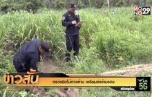 ตรวจยึดไม้หวงห้าม เตรียมส่งข้ามแดน