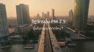 วัฏจักรฝุ่น PM 2.5