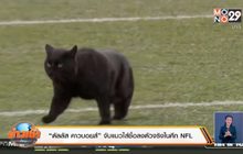 “ดัลลัส คาวบอยส์” จับแมวใส่ชื่อลงตัวจริงในศึก NFL