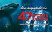เบื้องหลังสุดเหลือเชื่อของ 47 Meters Down จากหนังฟอร์มเล็ก สู่หนังโรงฮิตแบบเซอร์ไพรซ์