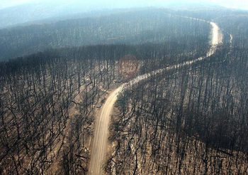 ไฟป่าออสเตรเลียเสียหาย 2 ล้านล้านบาท