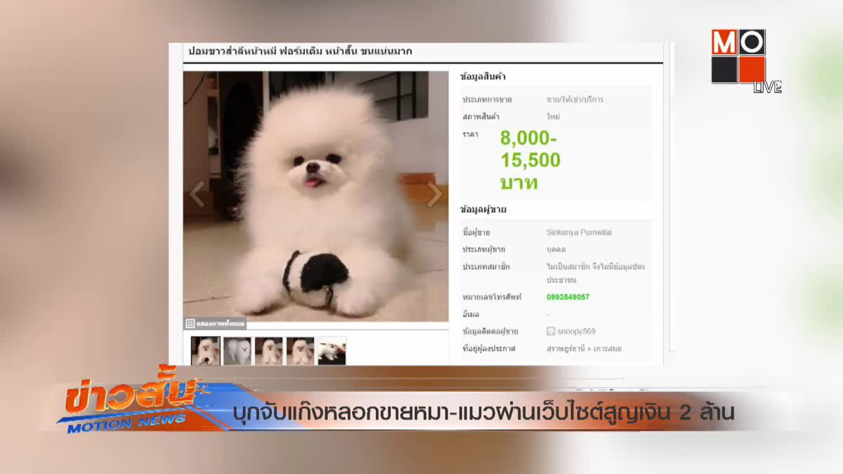บุกจับแก๊งหลอกขายหมา-แมวผ่านเว็บไซต์สูญเงิน 2 ล้าน