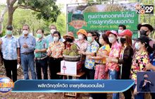 พลิกวิกฤตโควิด ขายทุเรียนออนไลน์