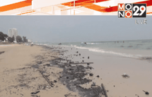 กรมเชื้อเพลิงธรรมชาติเก็บตัวอย่างก้อนน้ำมัน