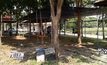 อยุธยาเร่งจัดระเบียบร้านค้าติดโบราณสถาน