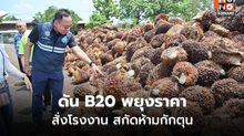 พาณิชย์ลงพื้นที่ปาล์ม ดัน B20 หนุนราคาขยับ