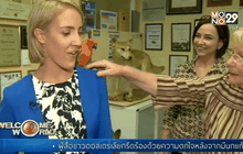 นกแก้วเกาะไหล่ผู้สื่อข่าวในออสเตรเลีย