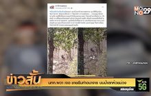 นทท.ผวา เจอ ชายยืนทำอนาจาร บนน้ำตกห้วยม่วง