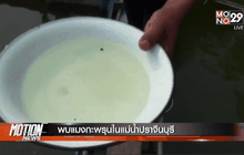 Motion News Break 2 (01-04-59)