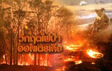 วิกฤตไฟป่าออสเตรเลีย 10-01-63