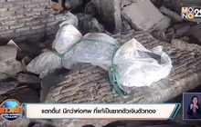 แตกตื่น! นึกว่าห่อศพ ที่แท้เป็นซากตัวเงินตัวทอง