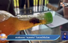 สาวร้องเจอ “แมลงสาบ” ในขวดน้ำจิ้มบ๊วย