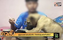 ยูทูบเบอร์ ยอมรับผิด ทำคลิปรุนแรงกับสัตว์