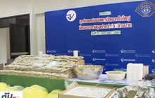 อย.ทลายแหล่งผลิตยา “ทรามาดอล” ปลอมล็อตใหญ่