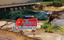 The Day News Update 17-08-59