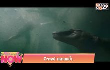 Crawl คลานขย้ำ