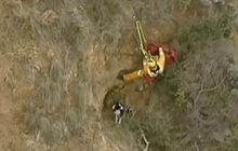 ภารกิจช่วยเหลือ“จิมมี่”สุนัขติดหน้าผา