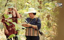 Big HERO คนดีบ้านฉัน : อ.ทัศณี รัตนรามาHERO ผู้พัฒนาการแพทย์แผนไทยเพื่อชุมชน ตอนที่ 1/5