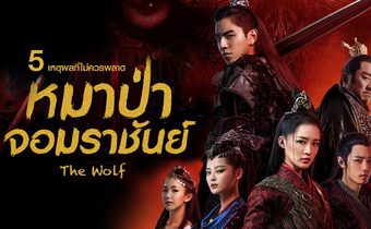 5 เหตุผลที่ไม่ควรพลาด The Wolf หมาป่าจอมราชันย์