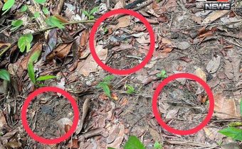 กองทัพภาค 2 แถลงบ่ายนี้ ปมทุ่นระเบิดชายแดน