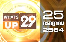 What’s Up 29 25-07-64