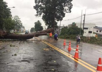 พายุโพดุล ทำน้ำท่วมถนนในยโสธร ต้นไม้ล้มขวางทางสัญจรลำบาก