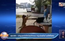 สุดน่ารัก ! เจ้าตูบยกมือไหว้ขอไก่ทอด หนุ่มน้อยใจดี ยกให้ทั้งห่อ