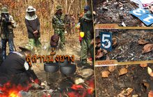 The Day News Update 25-04-59