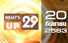 What’s up 29 20-09-63