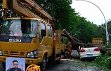 พายุฝนพัดถล่มมณฑลกวางตุ้งของจีน